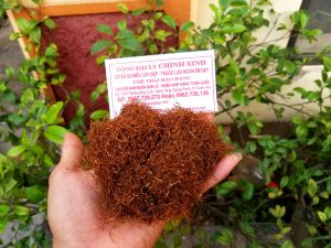 thuốc lào quảng xương