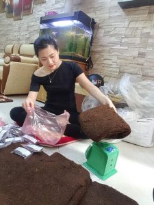 thuốc lào thanh hóa nhà trồng