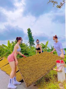 thuốc lào thanh hóa