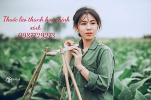 thuốc lào thanh hóa ngon nhất hiện nay